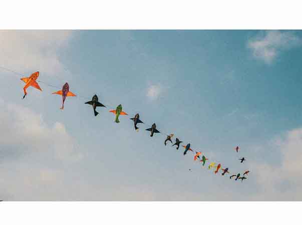 Pic of kites flying on Makar Sankranti