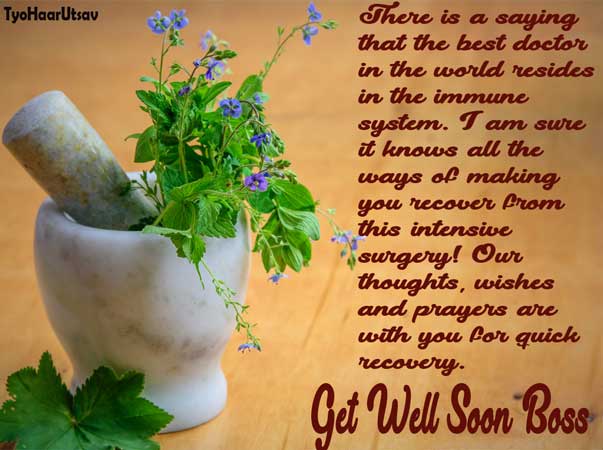 Boss Get Well soon 🌻 - Tips, Wishes, Quotes, Email & Letter 💐