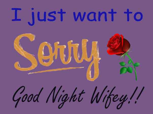 Good-night-Message-to-Wife-if-you-had-fight-and-arguments-Image